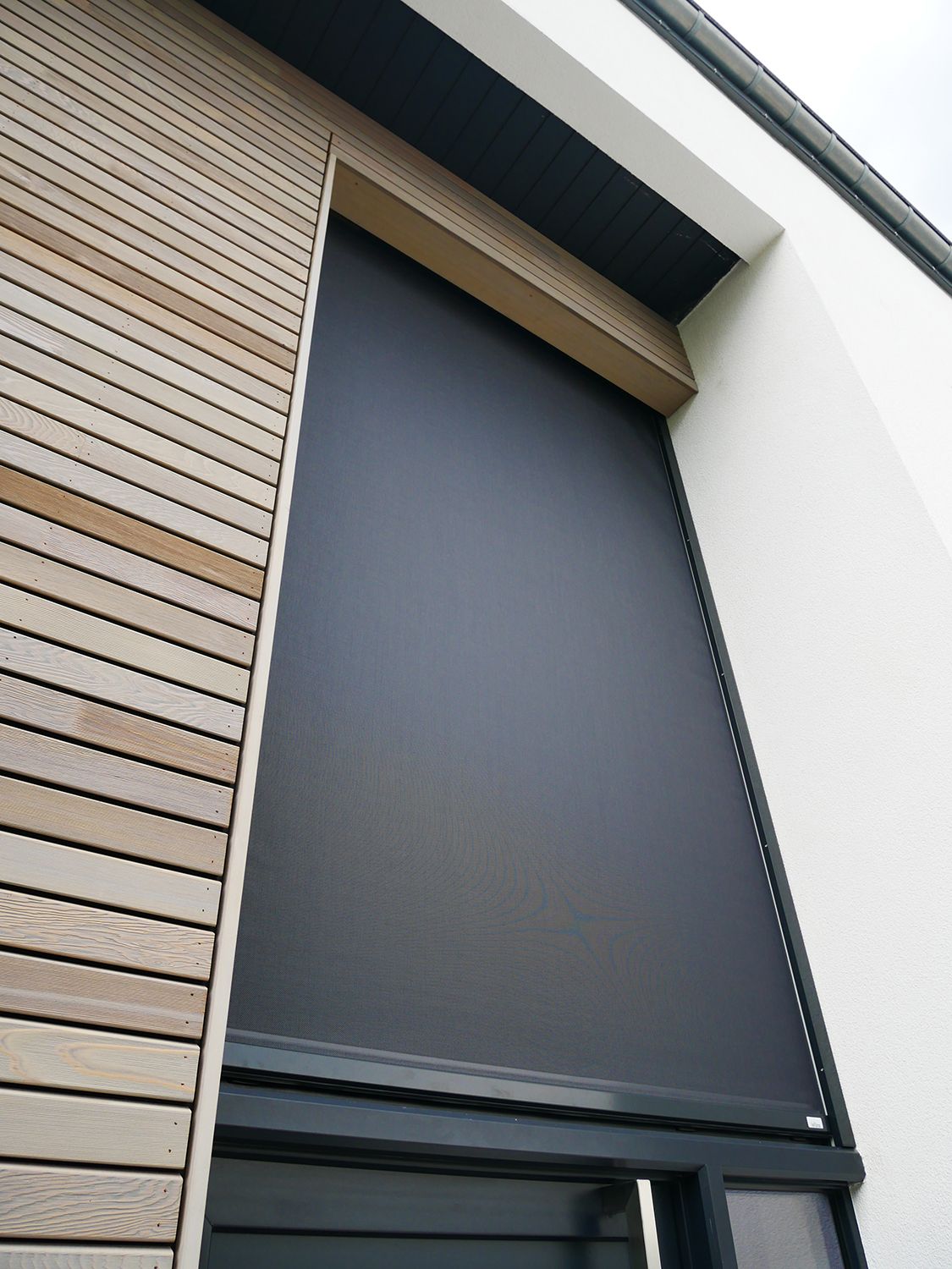 Screen vertical WILMS